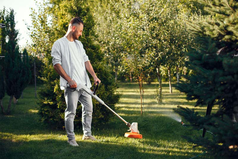 Cuidados para tu jardín de cara a la primavera