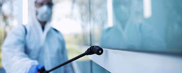 Las plagas más conocidas de este otoño