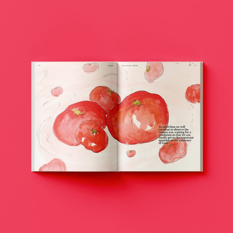 Mnzlee Stories- Book