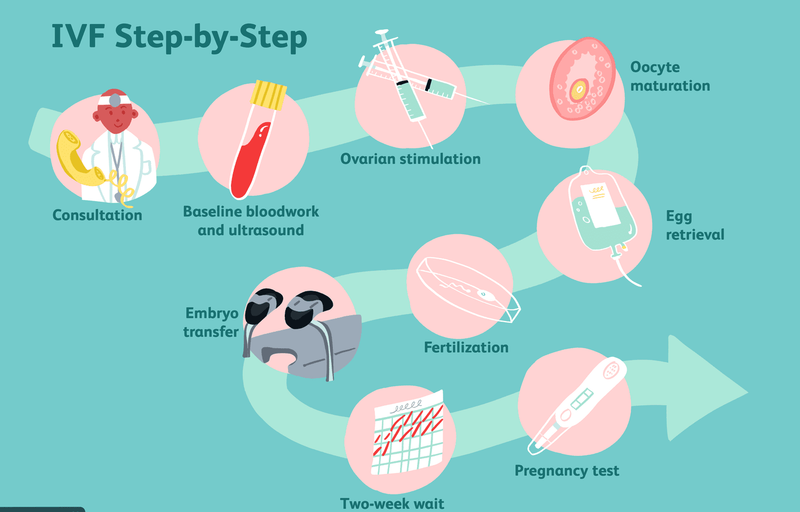 In Vitro Fertilization (IVF)