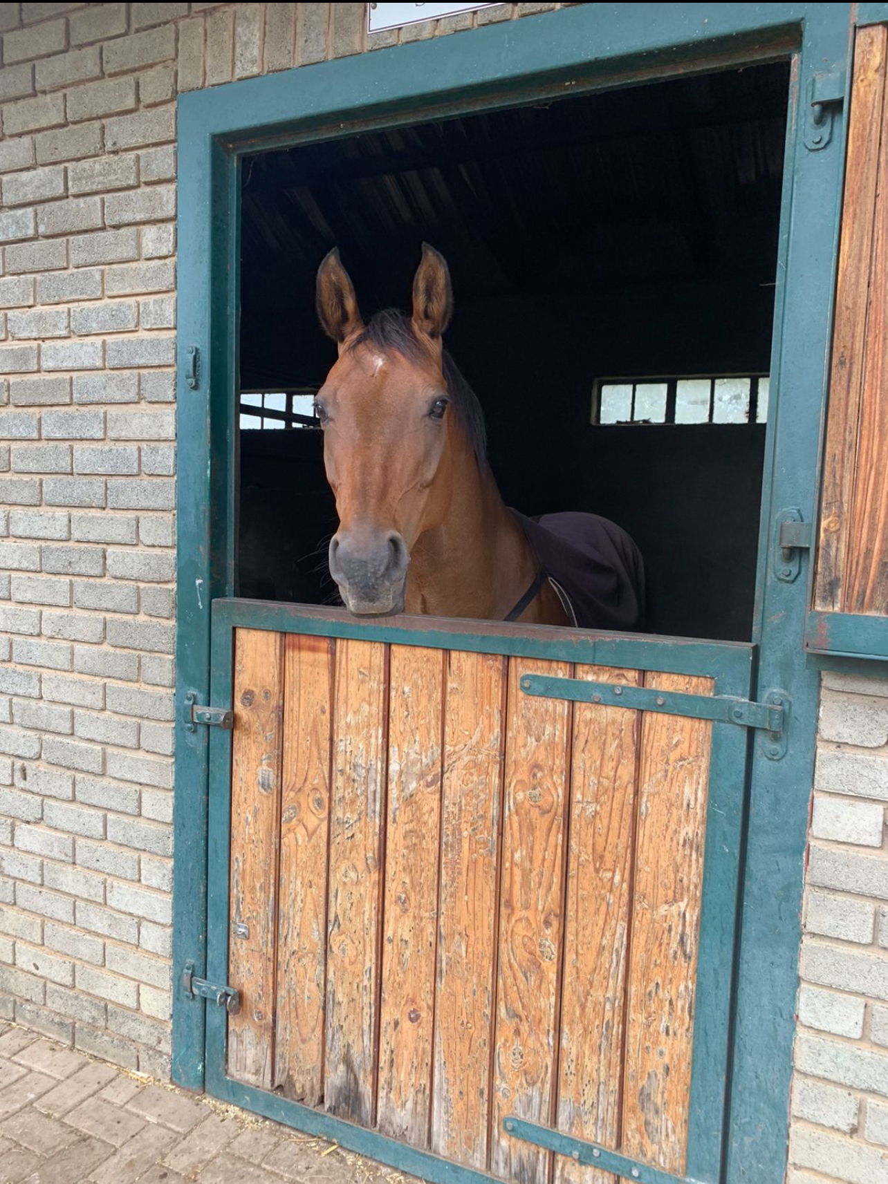 Stabling and Livery