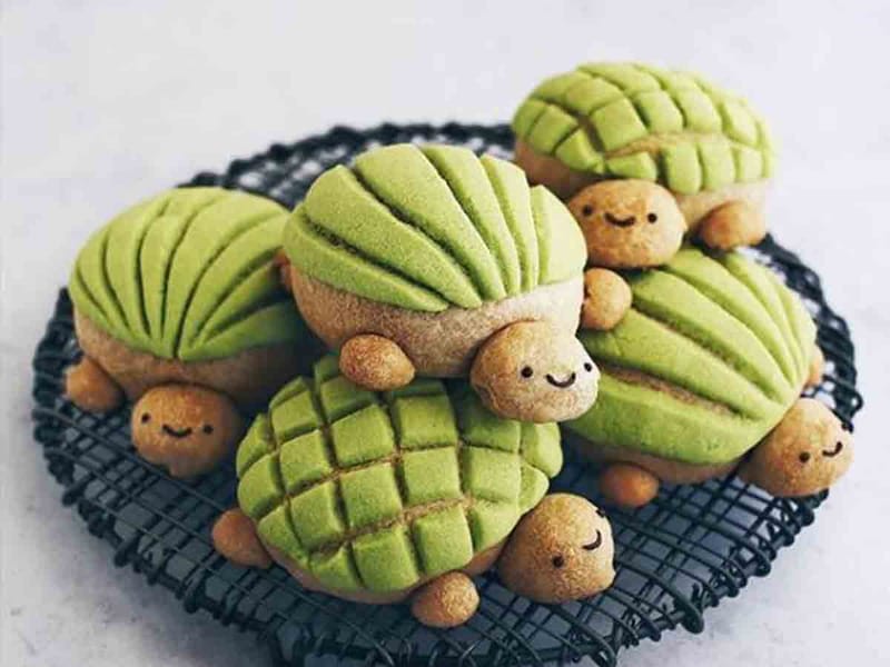TORTUGAS