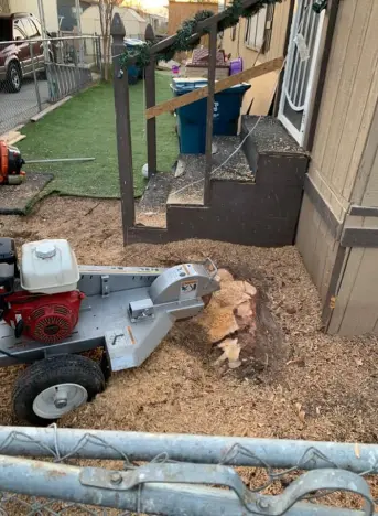 Stump Grinding