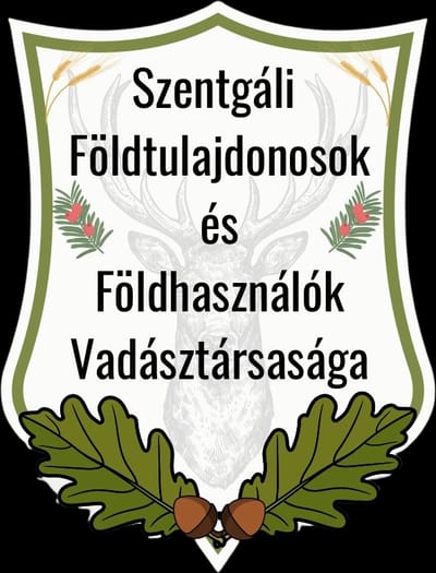 Vadászat