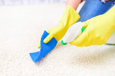 How to Keep Your Carpets Looking New