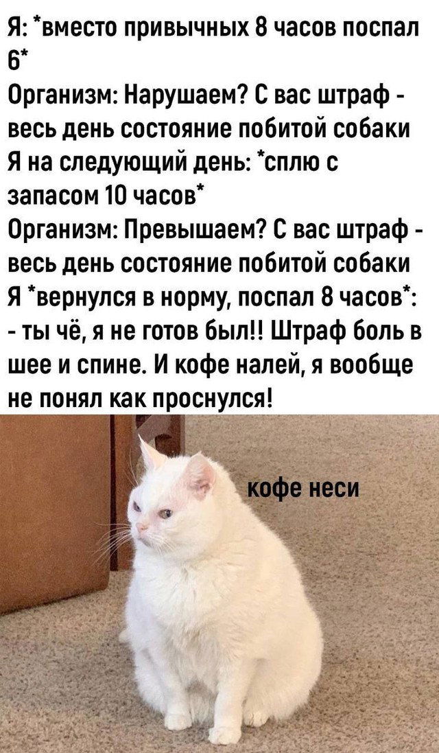 Мем