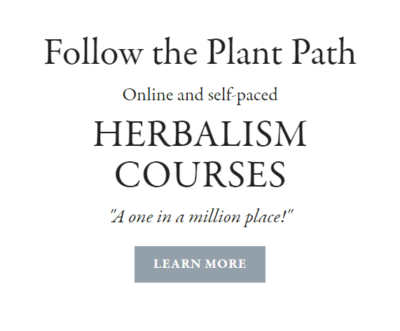 Herbal Courses