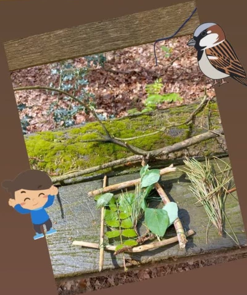 Zeit in der Natur- mit allen Sinnen erleben