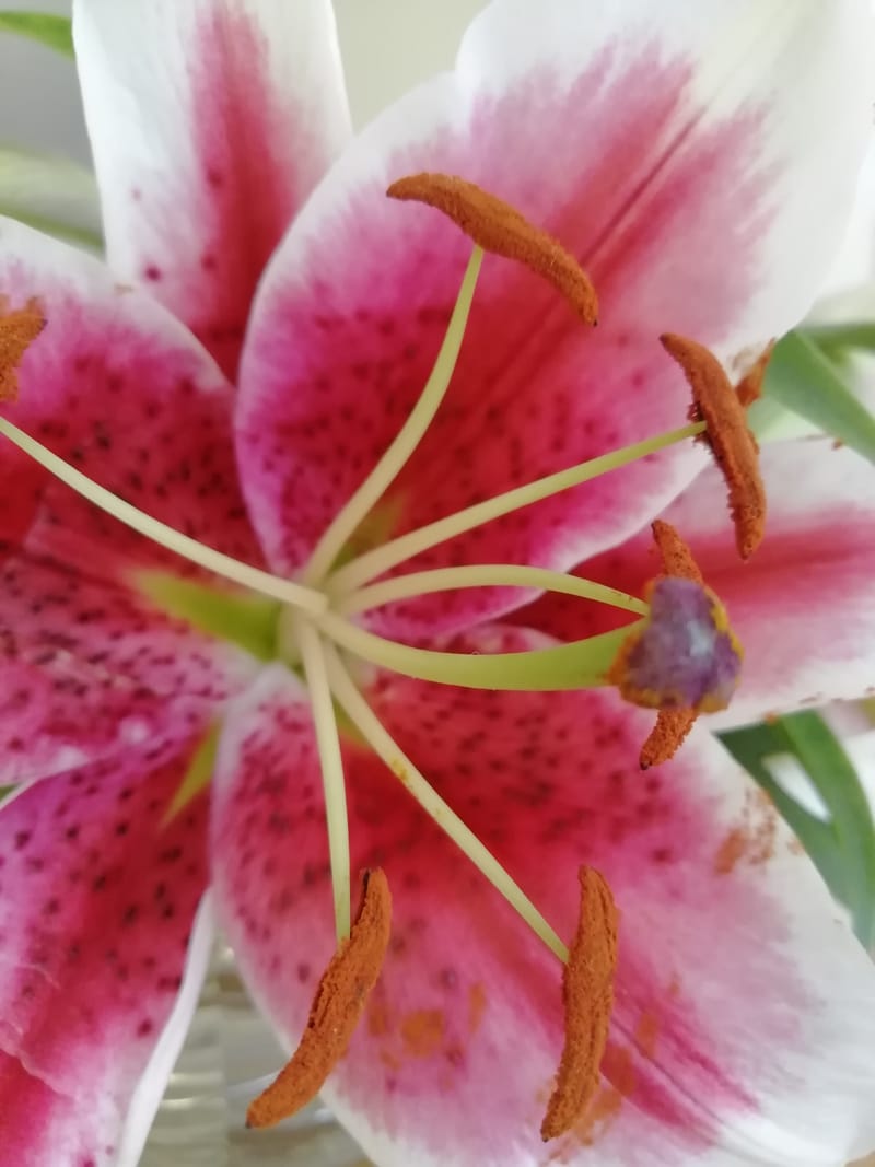 Wie sieht das praktisch aus?