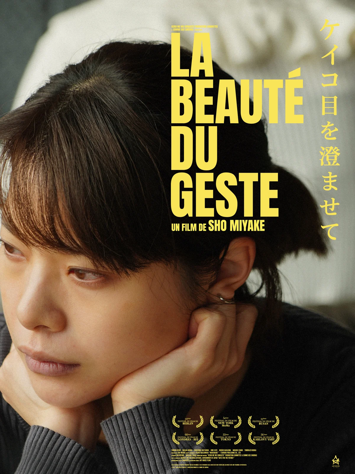 La Beauté du geste, Sho Miyake