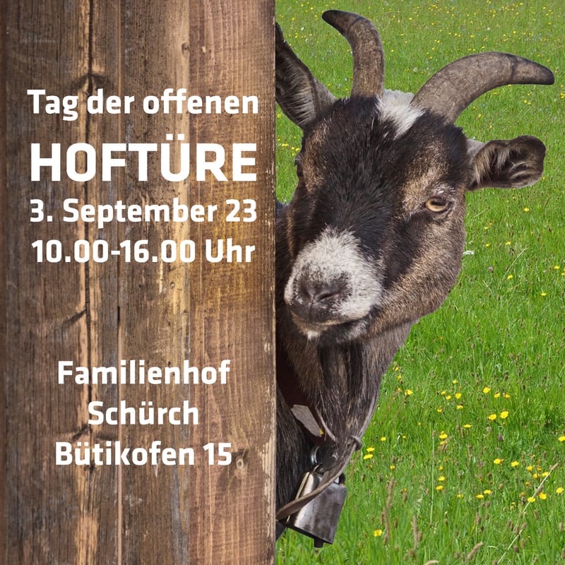 Tag der offenen Hoftüre