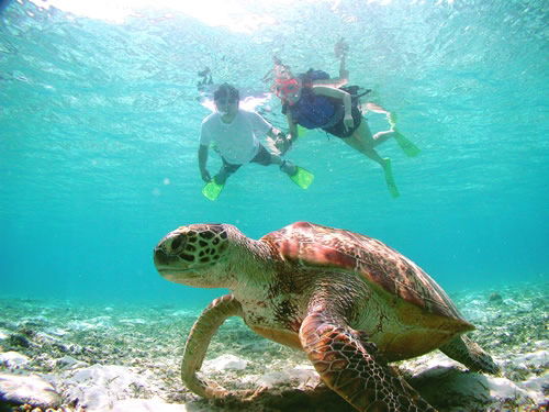 Akumal