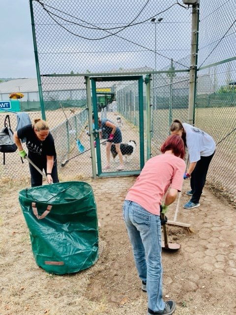 Arbeitseinsatz Sommer 2022