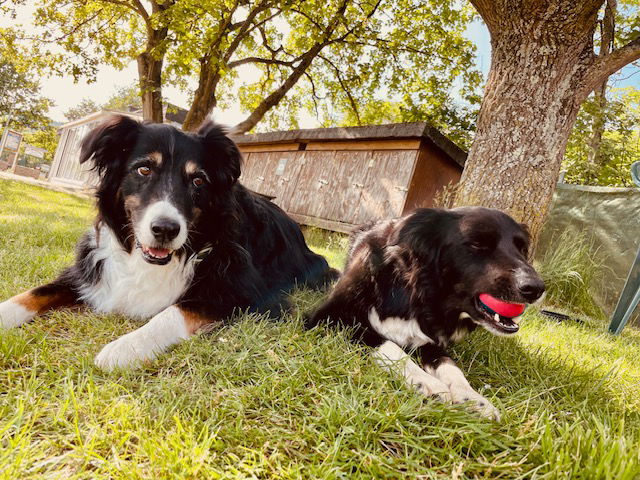 Jahreshauptversammlung 2023