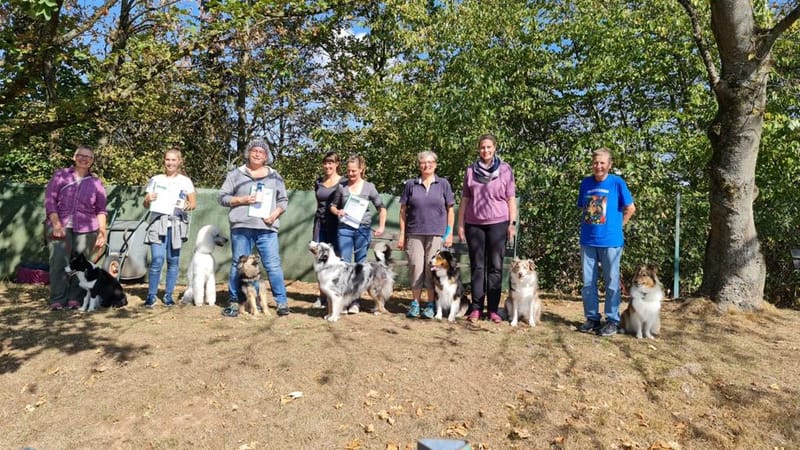 Begleithundeprüfung 2022