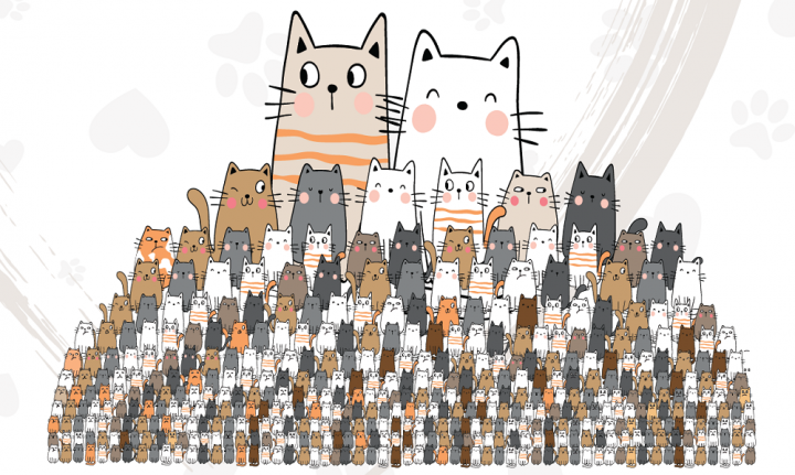 Sterilisation - A Necessary Evil