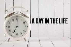 A Day In The Life at Amanda's Ark!