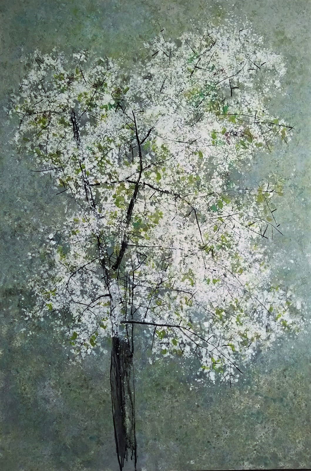 Blossoms, White