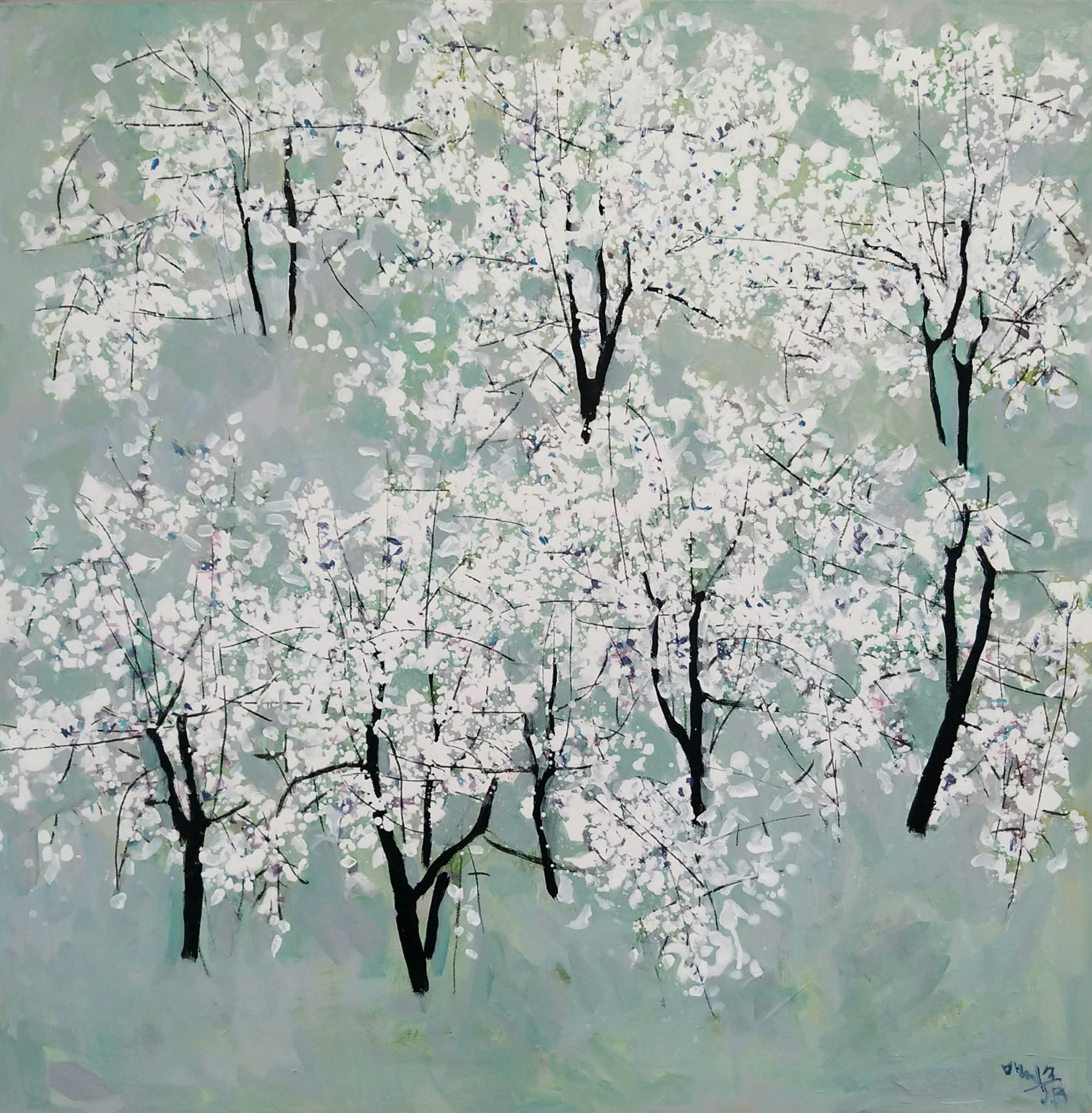 Blossoms, White