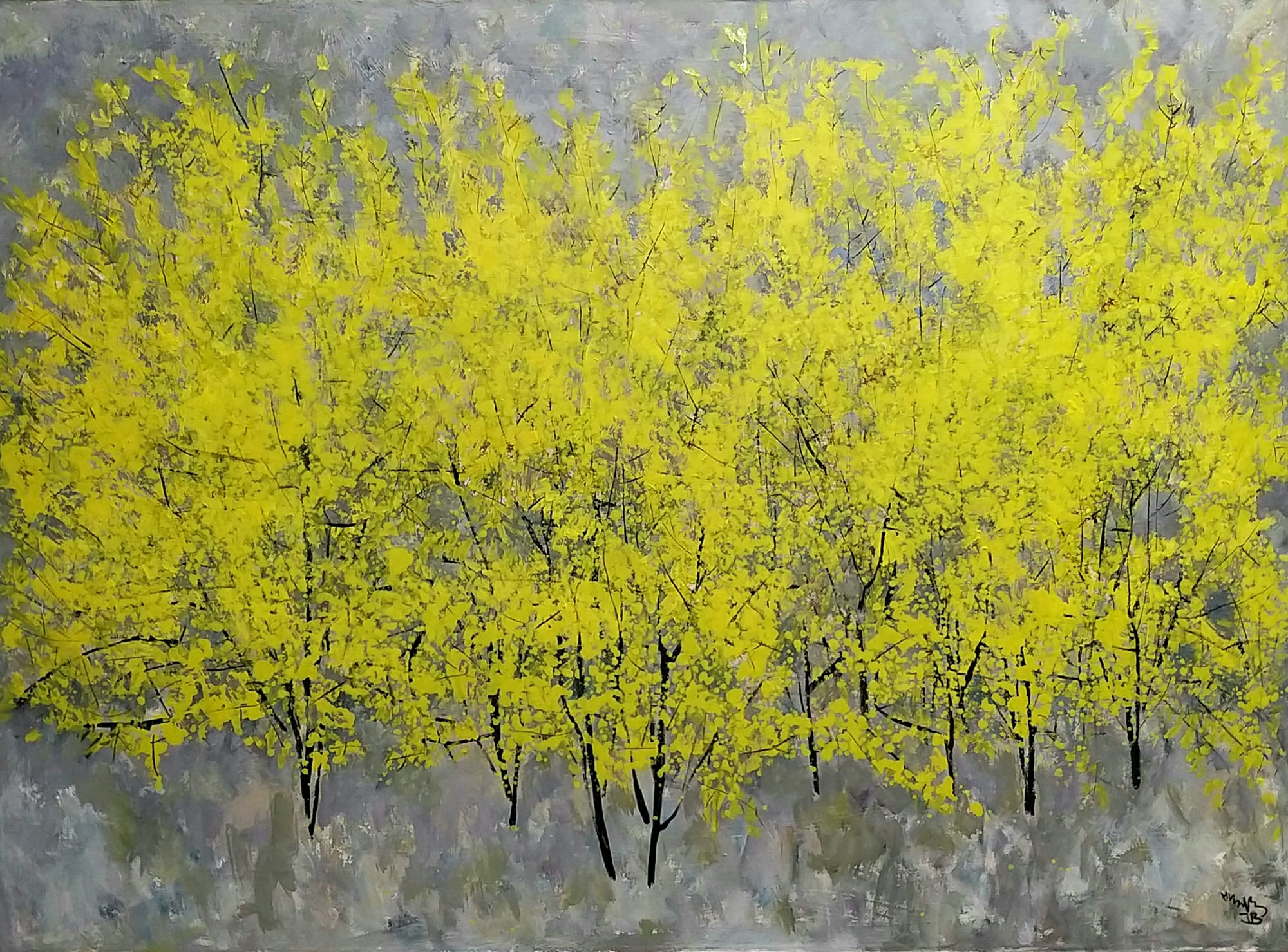 Forsythia