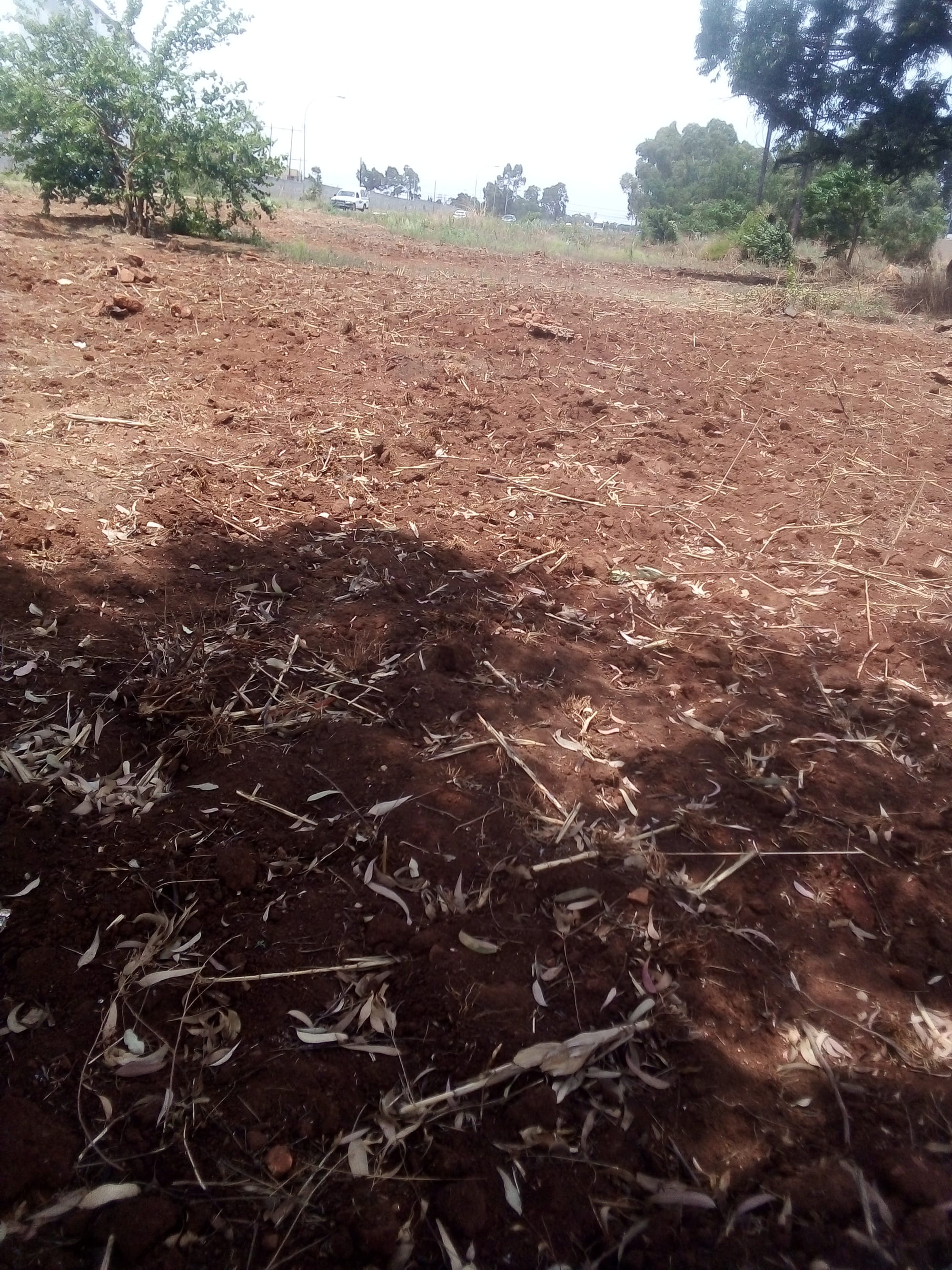 Youth and Individuals  Farmers Agriculture skills Training Program