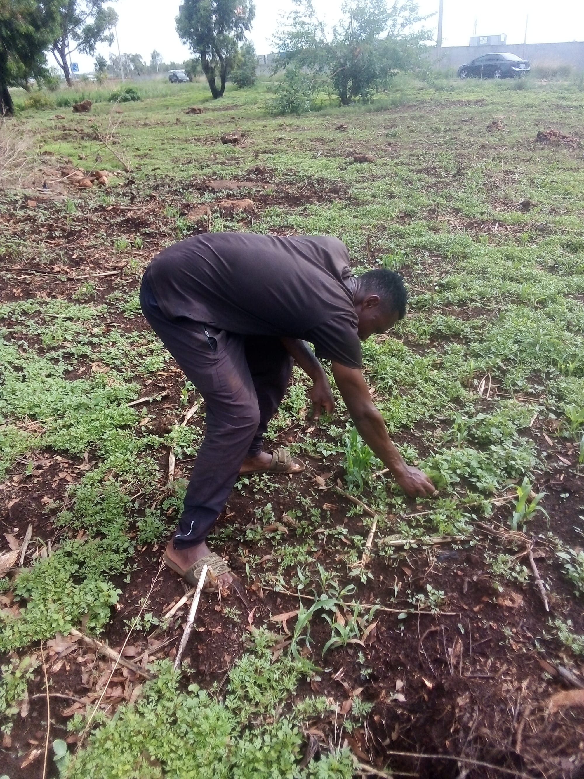 Agriculture skills training Program