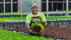 BeGreen finaliza 2022 com 8 fazendas urbanas em grandes cidades e produção de mais de 300 toneladas de alimentos 100% livres de agrotóxicos