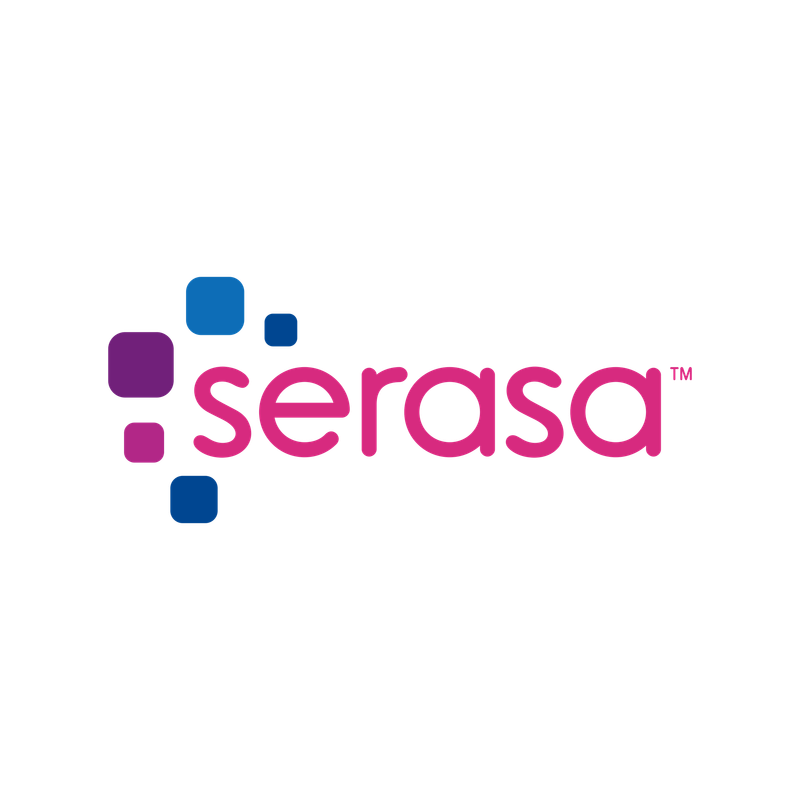 Consulta SERASA