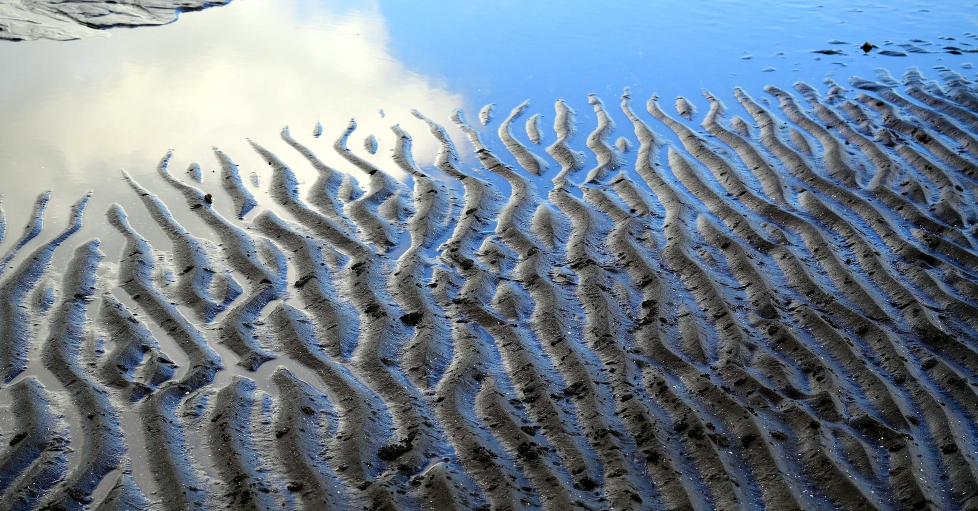 Tide Line Prints 