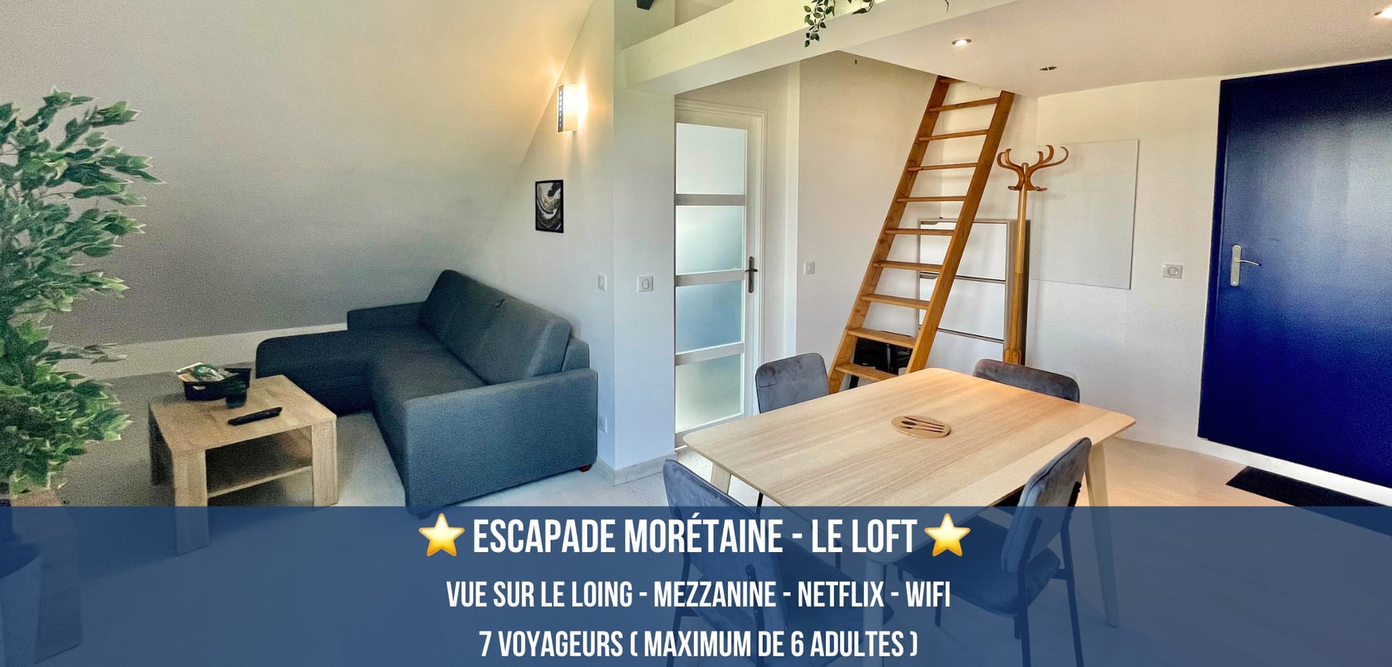 ⭐Le Loft⭐ Loft Mezzanine - Vue sur le Loing