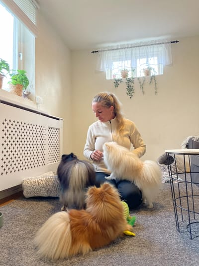 OM tittis minitassar image