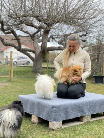 En dag på tittis minitassar image