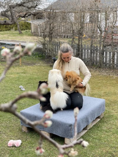 öppettider &amp; priser &amp; villkor image