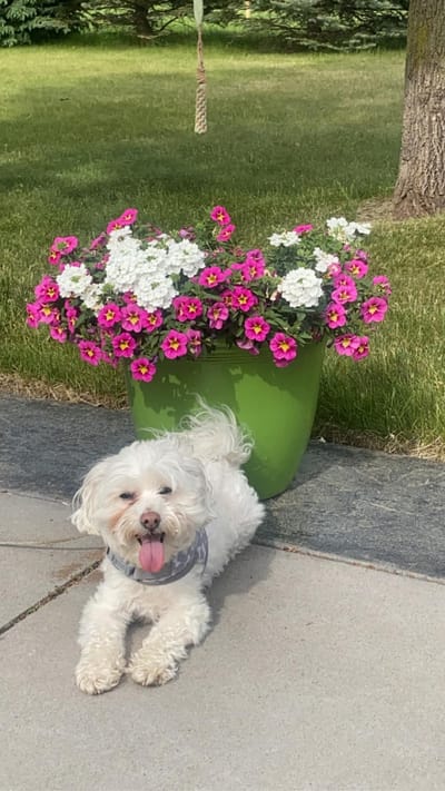 About The Store image