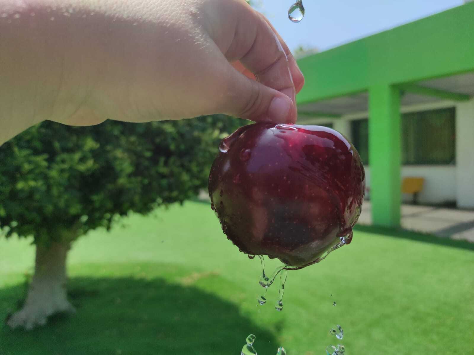 סדנאות פוטותרפיה וצילום מהנייד