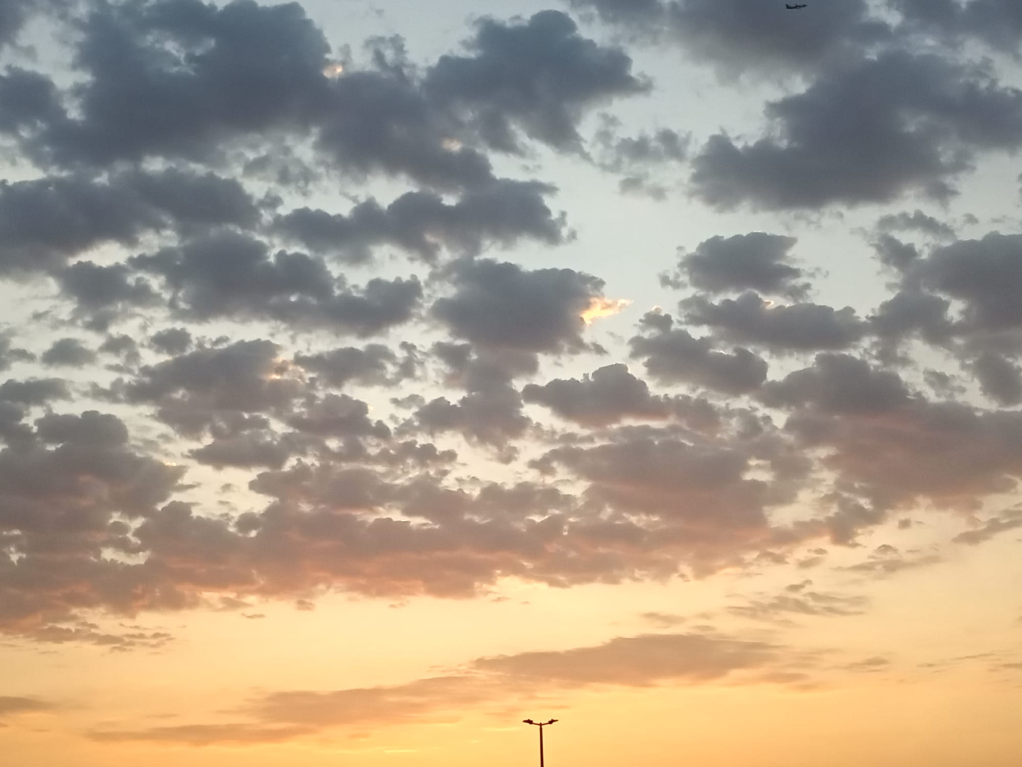 صور شهر يوليو يوم التاسع عشر سنة 2023