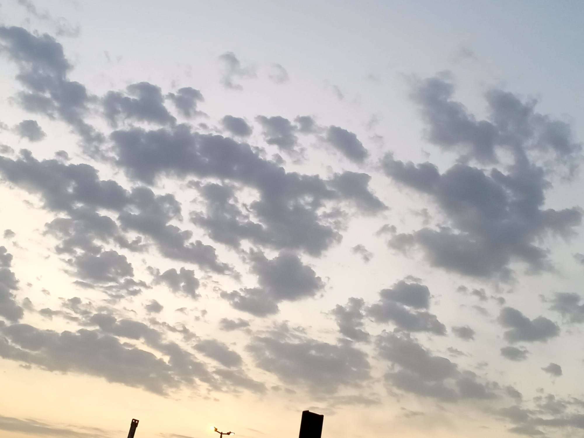 صور شهر يوليو يوم التاسع عشر سنة 2023