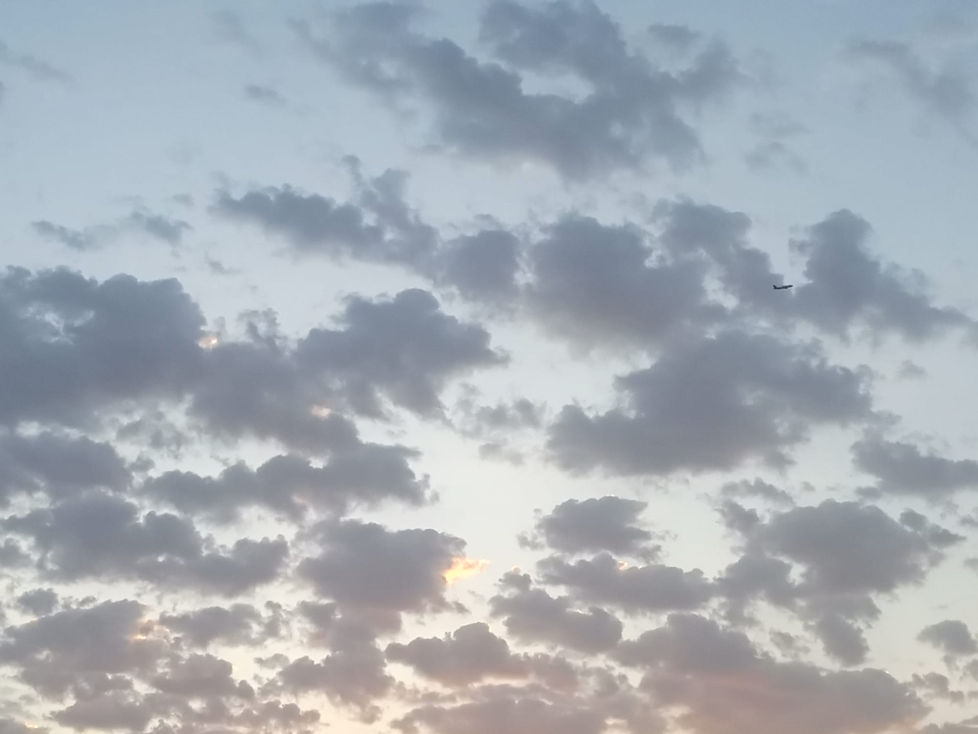 صور شهر يوليو يوم التاسع عشر سنة 2023