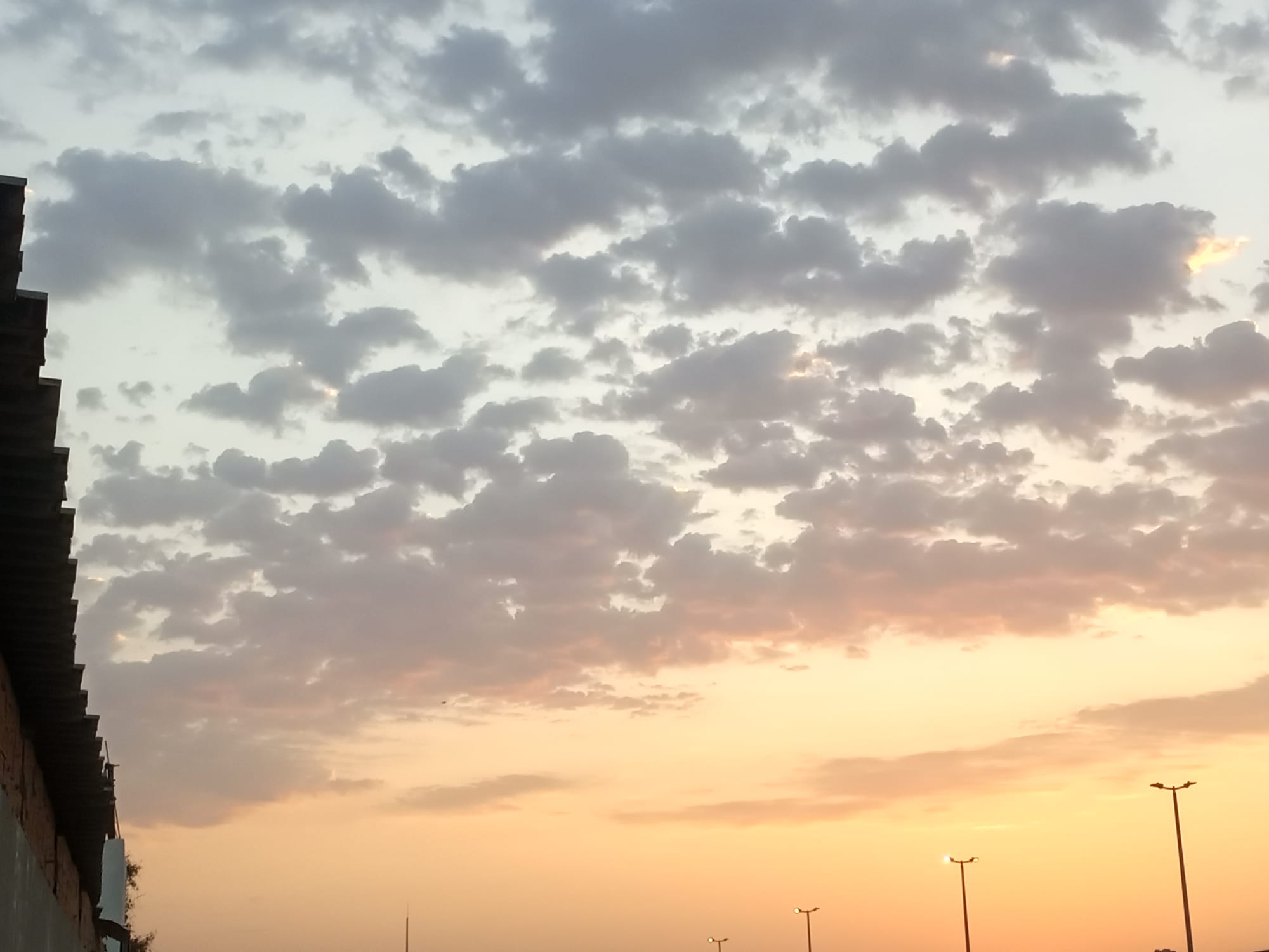 صور شهر يوليو يوم التاسع عشر سنة 2023