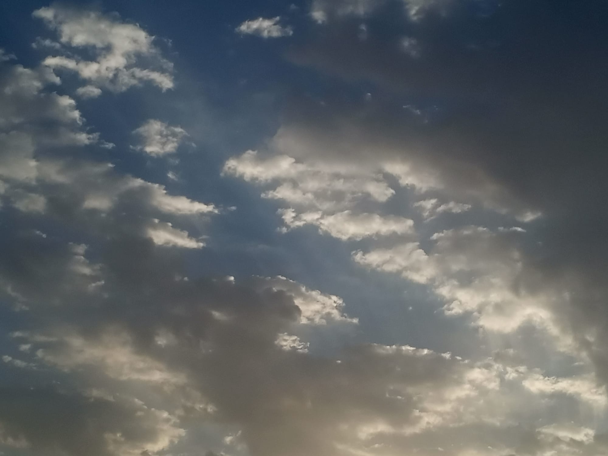 صور شهر يوليو يوم التاسع عشر سنة 2023