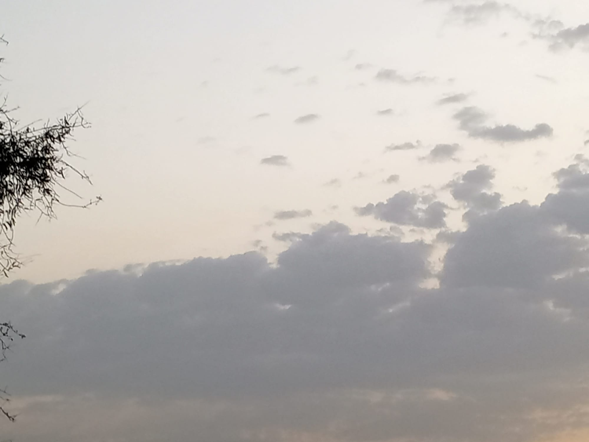 صور شهر يوليو يوم التاسع عشر سنة 2023