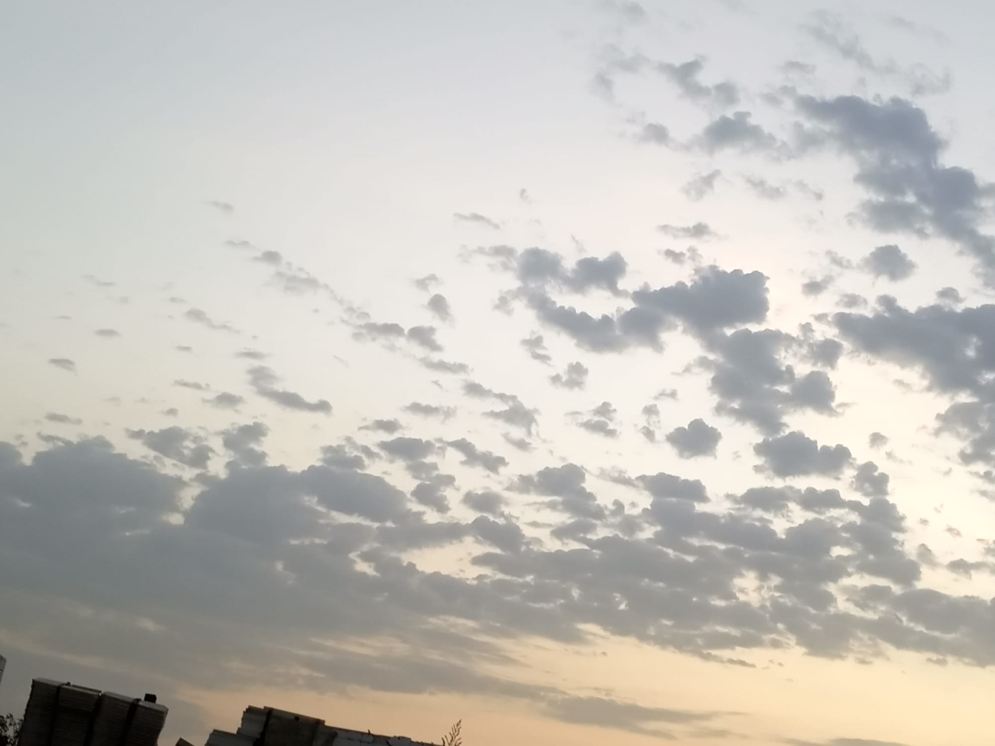 صور شهر يوليو يوم التاسع عشر سنة 2023