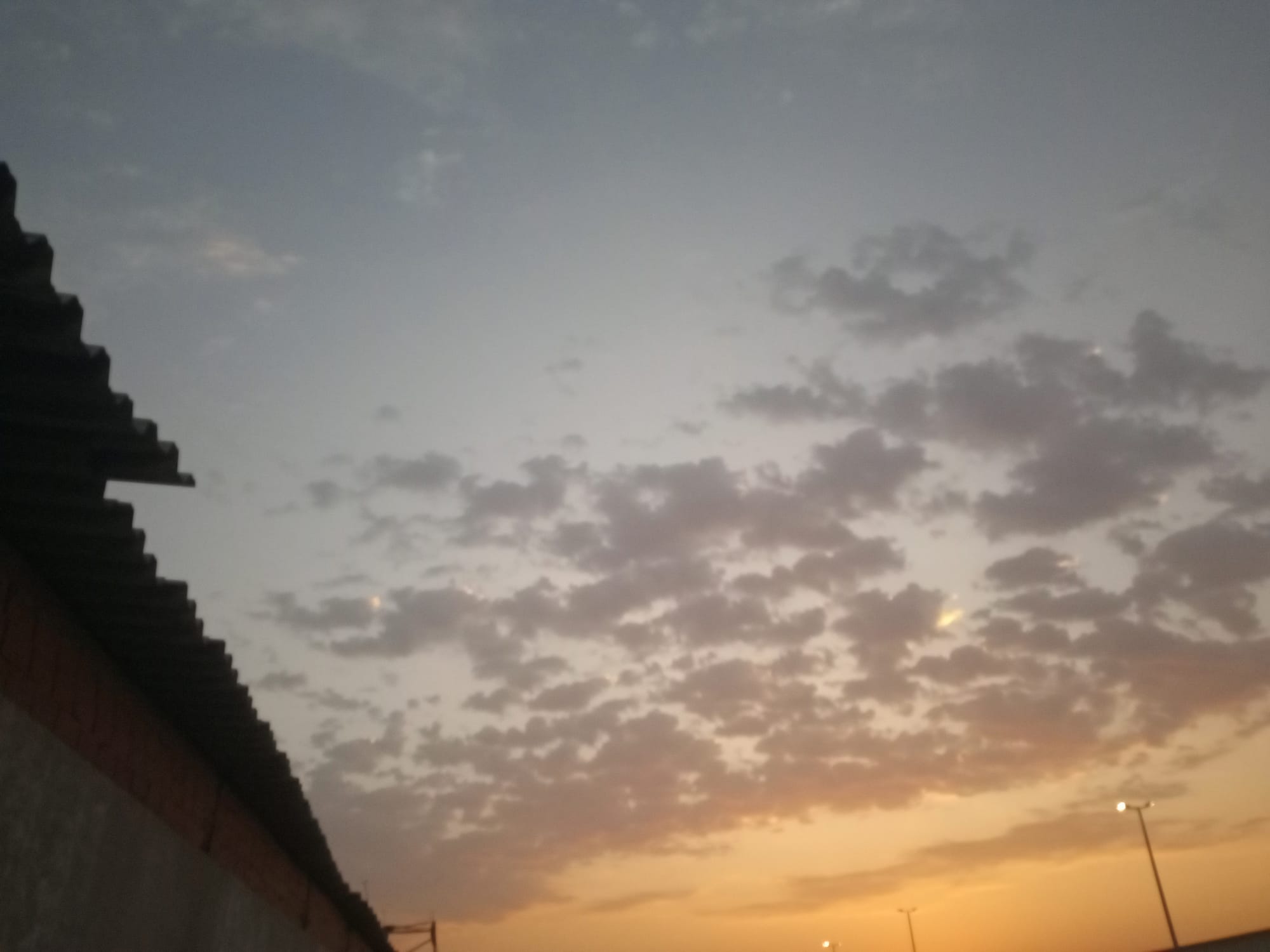 ملحق يوم 19/07/2023