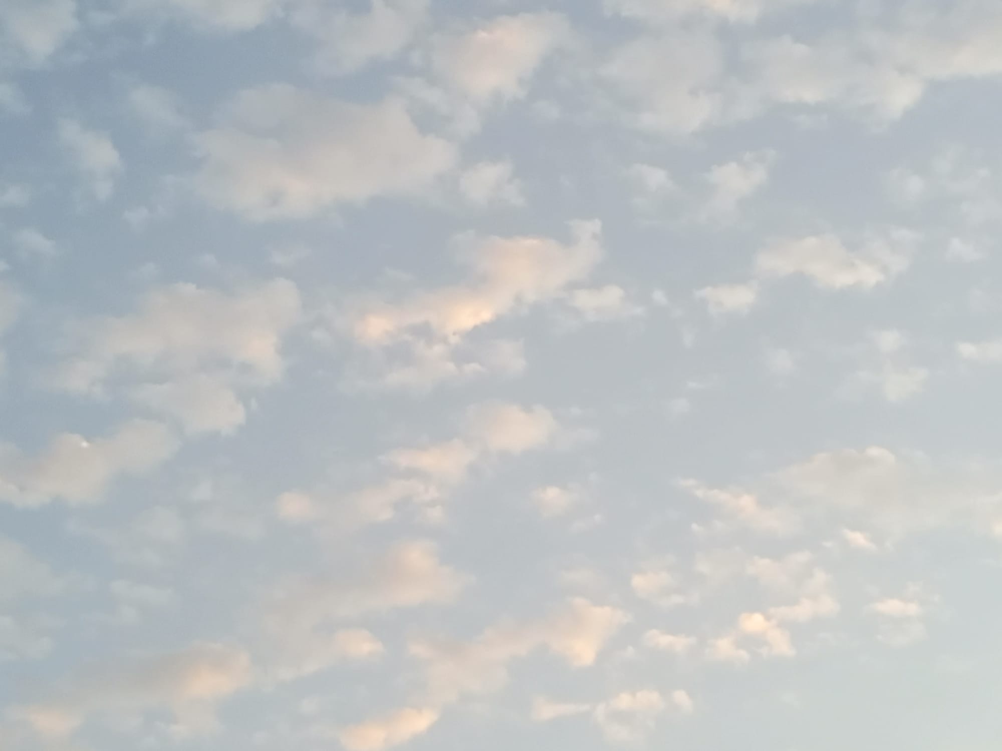 صور حديثة - شهر يوليو