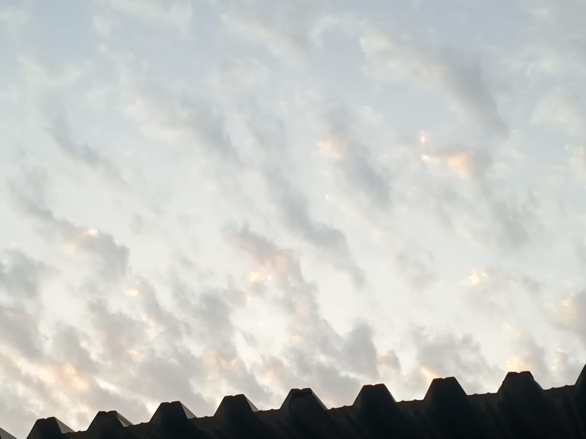 صور حديثة - شهر يوليو
