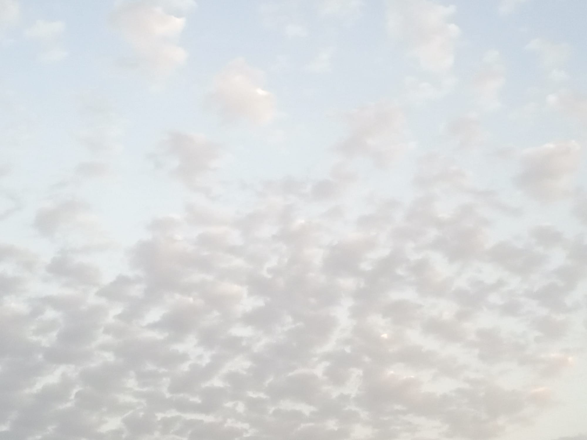 صور حديثة - شهر يوليو