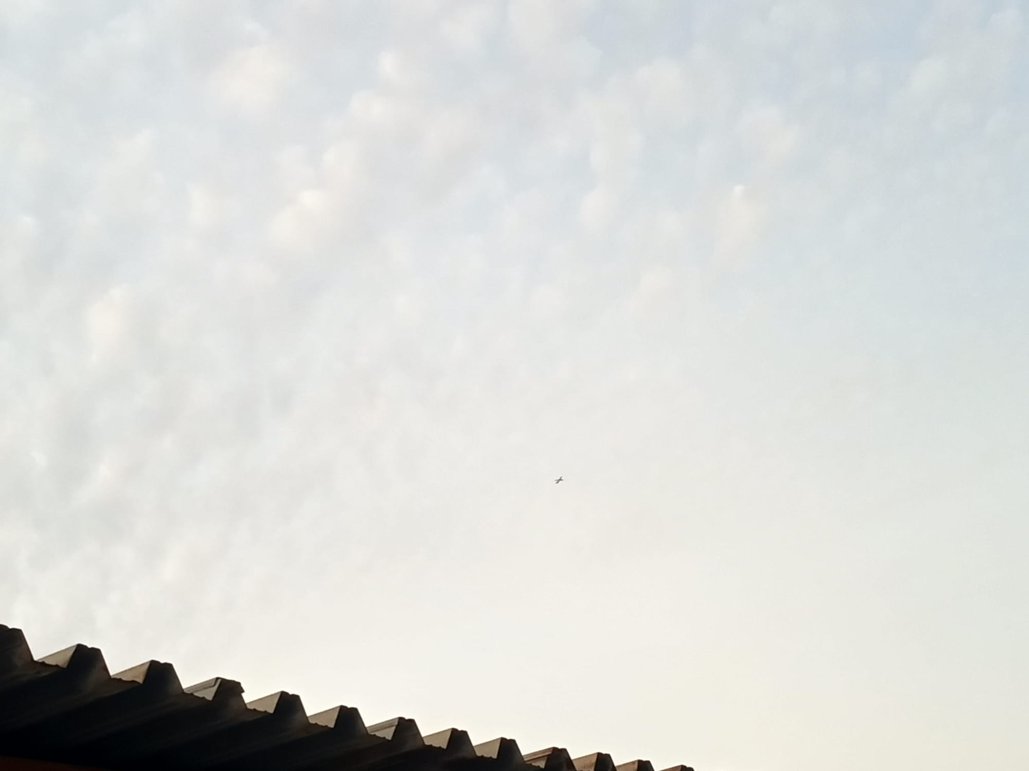 صور حديثة - شهر يوليو