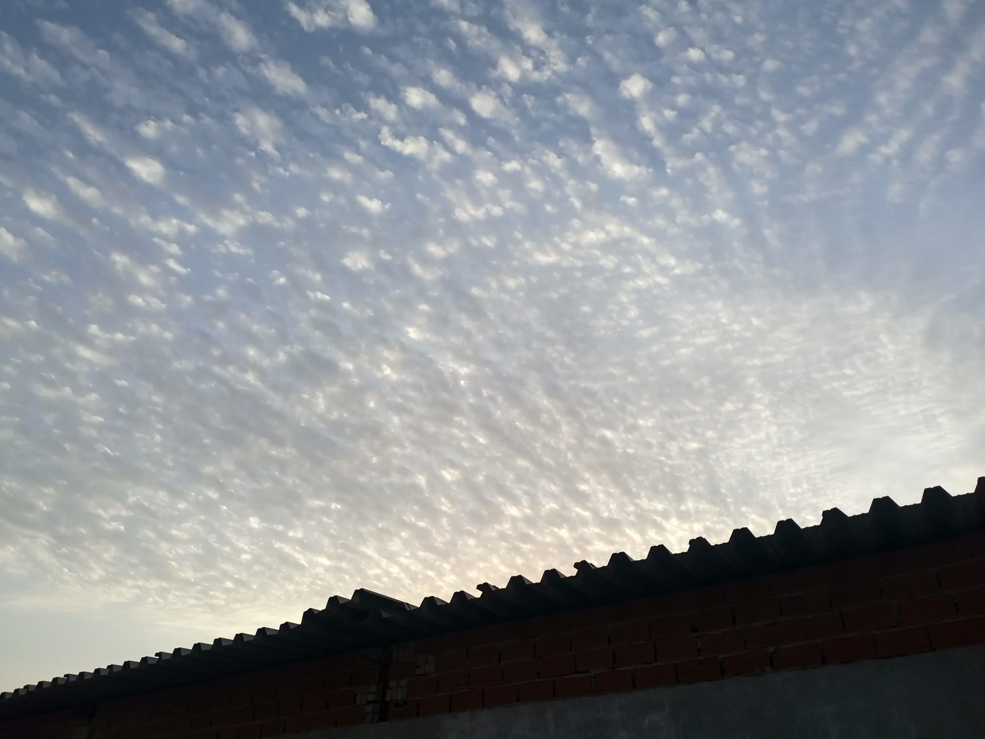 صور حديثة - شهر يوليو