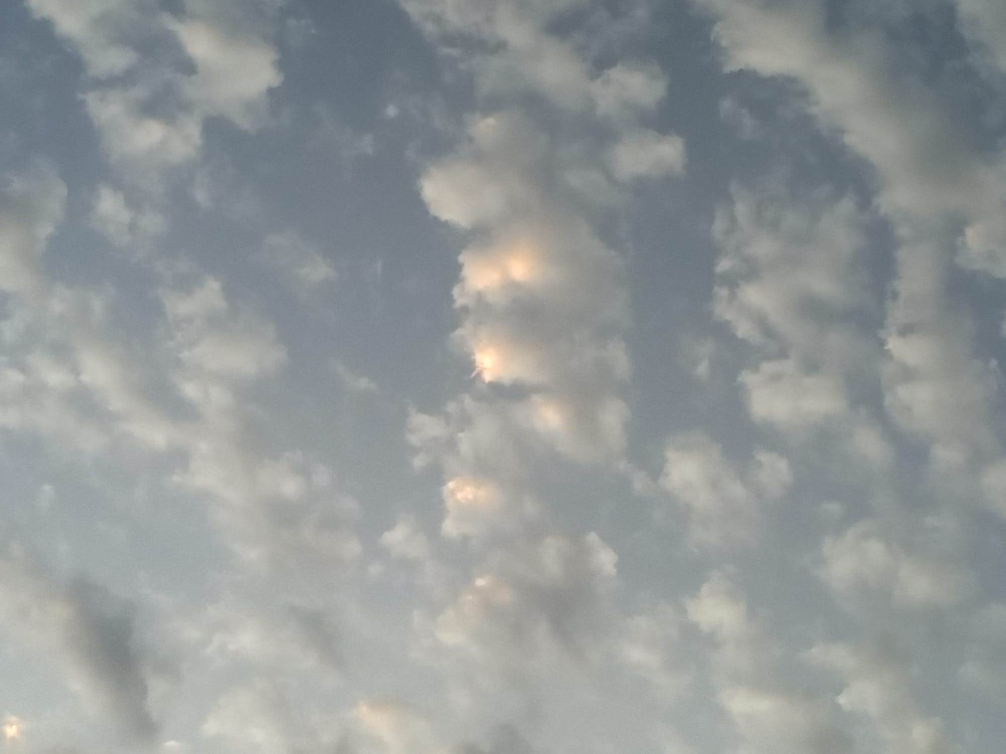 صور حديثة - شهر يوليو
