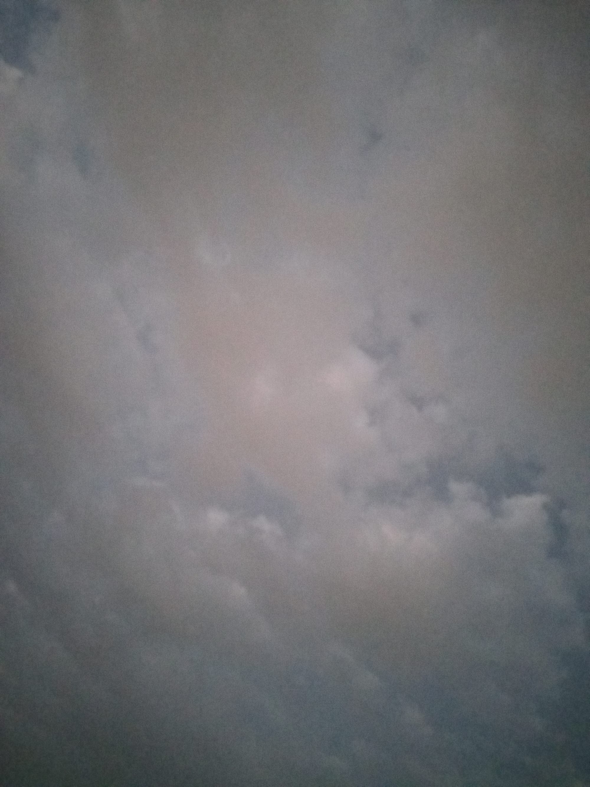 أرشيف محدث للصور